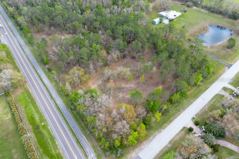 Terreno en venta en Tarpon Springs, Florida № 1516181 - foto 18