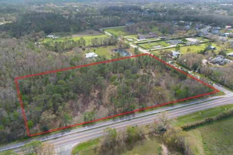 Terreno en venta en Tarpon Springs, Florida № 1516181 - foto 6
