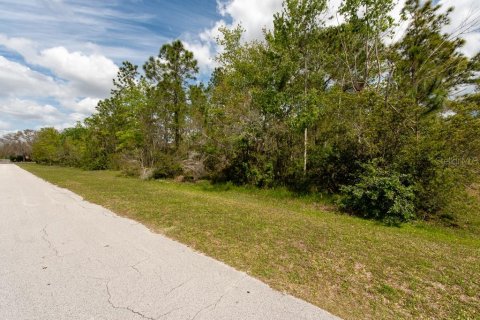 Terreno en venta en Tarpon Springs, Florida № 1516181 - foto 26
