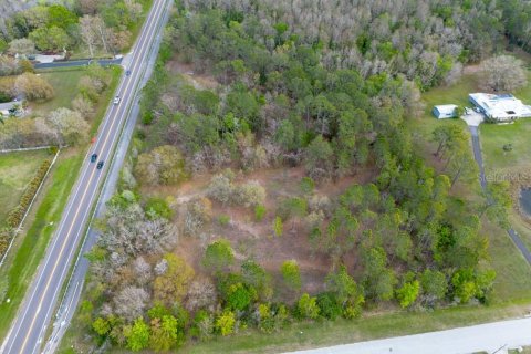 Terreno en venta en Tarpon Springs, Florida № 1516181 - foto 17