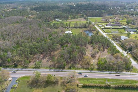 Terreno en venta en Tarpon Springs, Florida № 1516181 - foto 4