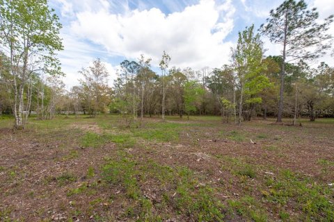 Terreno en venta en Tarpon Springs, Florida № 1516181 - foto 29