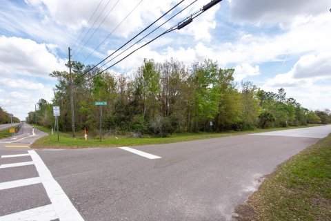Terreno en venta en Tarpon Springs, Florida № 1516181 - foto 19