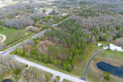 Terreno en venta en Tarpon Springs, Florida № 1516181 - foto 15