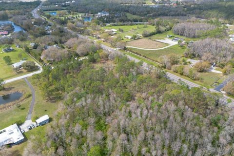 Terreno en venta en Tarpon Springs, Florida № 1516181 - foto 9
