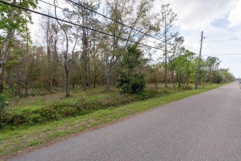 Terreno en venta en Tarpon Springs, Florida № 1516181 - foto 22