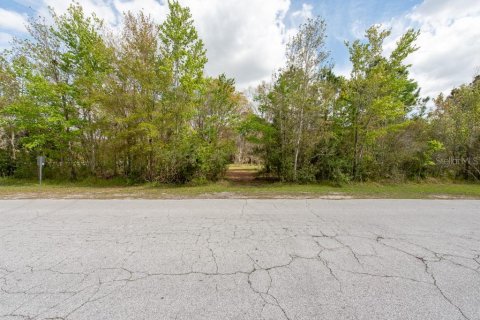 Terreno en venta en Tarpon Springs, Florida № 1516181 - foto 27