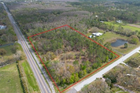 Terreno en venta en Tarpon Springs, Florida № 1516181 - foto 1