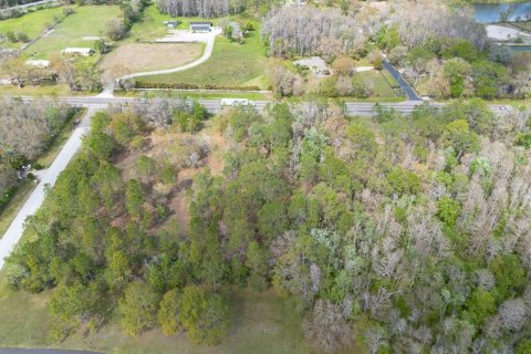 Terreno en venta en Tarpon Springs, Florida № 1516181 - foto 12