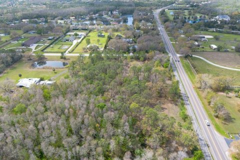 Terreno en venta en Tarpon Springs, Florida № 1516181 - foto 7