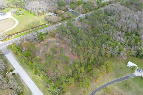 Terreno en venta en Tarpon Springs, Florida № 1516181 - foto 13