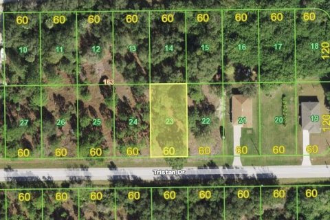 Land in Punta Gorda, Florida № 2163330