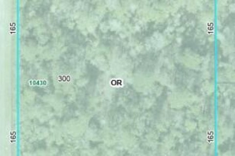 Land in Hastings, Florida № 801095 - photo 1