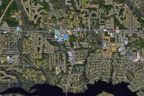 Land in Jacksonville, Florida № 1866706 - photo 4