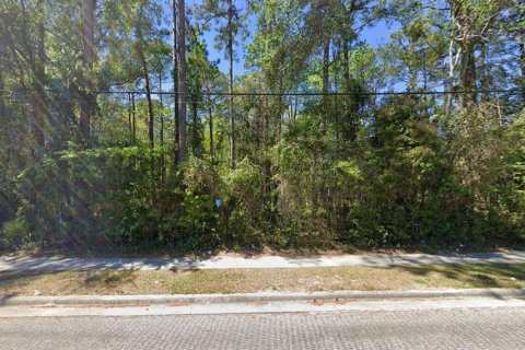 Land in Jacksonville, Florida № 1866706 - photo 2