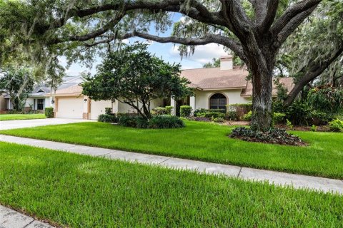 Casa en Valrico, Florida 4 dormitorios, 291.62 m2 № 2151500