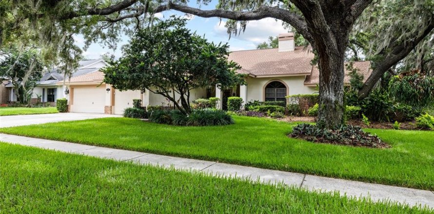 Casa en Valrico, Florida 4 dormitorios, 291.62 m2 № 2151500