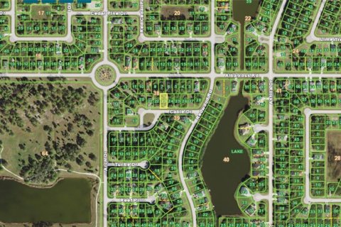 Land in Rotonda, Florida № 2160680 - photo 5