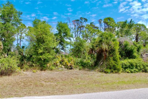 Land in Rotonda, Florida № 2160680