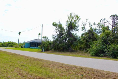 Land in Rotonda, Florida № 2160680 - photo 8