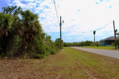 Land in Rotonda, Florida № 2160680 - photo 3