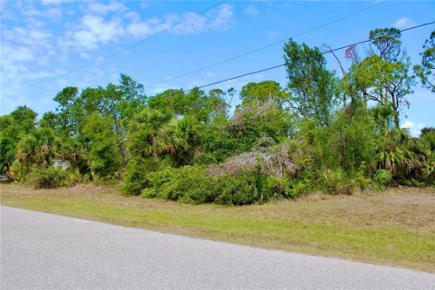 Land in Rotonda, Florida № 2160680 - photo 9