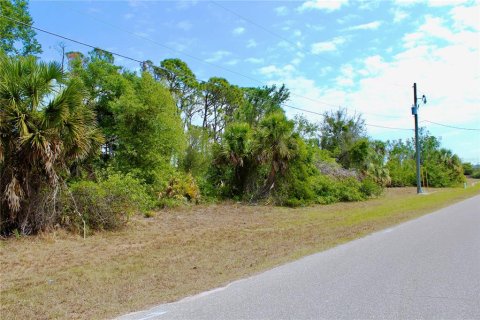 Land in Rotonda, Florida № 2160680 - photo 7