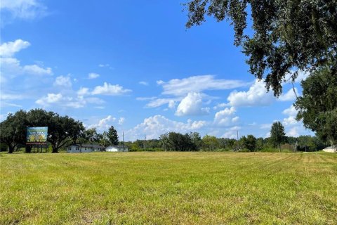 Land in Wildwood, Florida № 762038 - photo 2