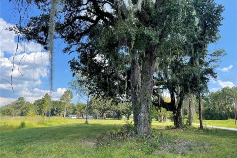 Land in Wildwood, Florida № 762038 - photo 3