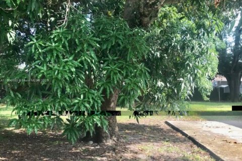 Immobilier commercial à vendre à Miami, Floride: 178.09 m2 № 1939323 - photo 5