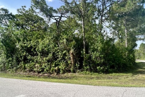 Terrain à Port Charlotte, Floride № 2159973