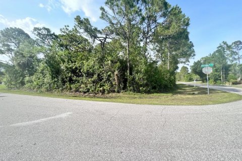 Terrain à vendre à Port Charlotte, Floride № 2159973 - photo 3