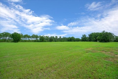 Terrain à vendre à Ocala, Floride № 2098850 - photo 27