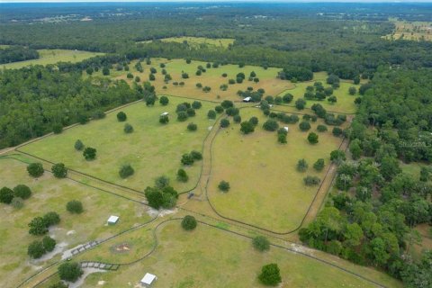 Terrain à vendre à Ocala, Floride № 2098850 - photo 4