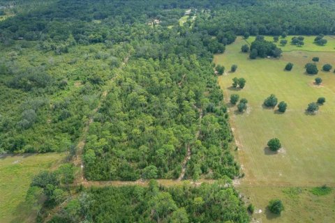 Terrain à vendre à Ocala, Floride № 2098850 - photo 21