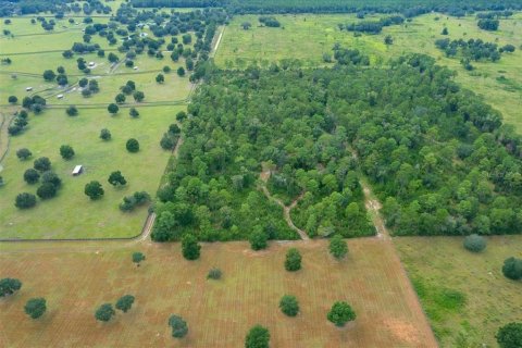Terrain à vendre à Ocala, Floride № 2098850 - photo 11