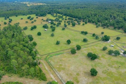 Terrain à vendre à Ocala, Floride № 2098850 - photo 2