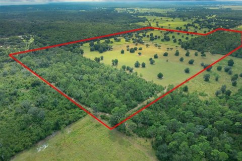 Terrain à vendre à Ocala, Floride № 2098850 - photo 18