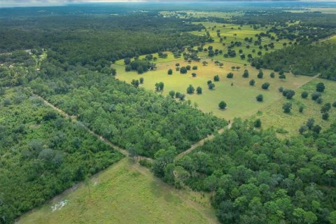 Terrain à vendre à Ocala, Floride № 2098850 - photo 19