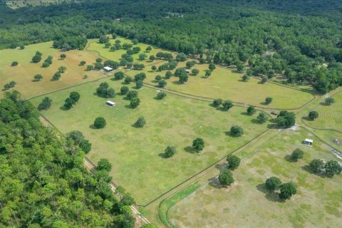 Terrain à vendre à Ocala, Floride № 2098850 - photo 25