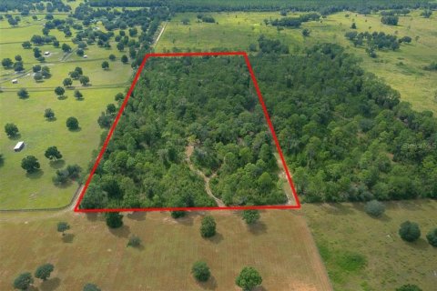 Terrain à vendre à Ocala, Floride № 2098850 - photo 23
