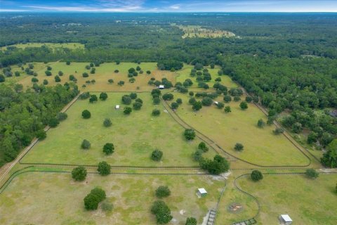 Terrain à vendre à Ocala, Floride № 2098850 - photo 3