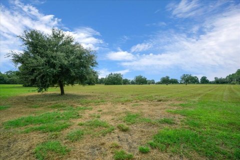 Terrain à vendre à Ocala, Floride № 2098850 - photo 30