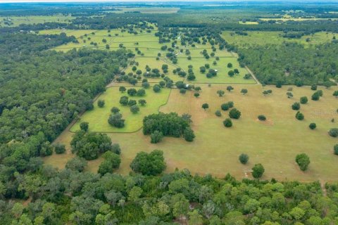 Terrain à vendre à Ocala, Floride № 2098850 - photo 8