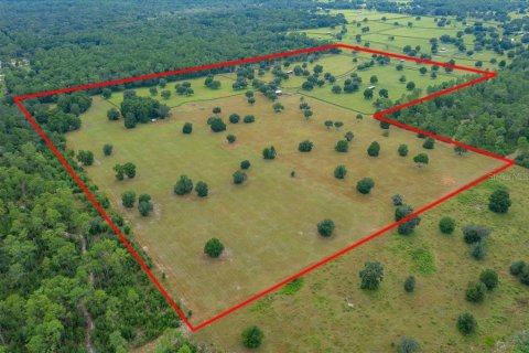 Terrain à Ocala, Floride № 2098850