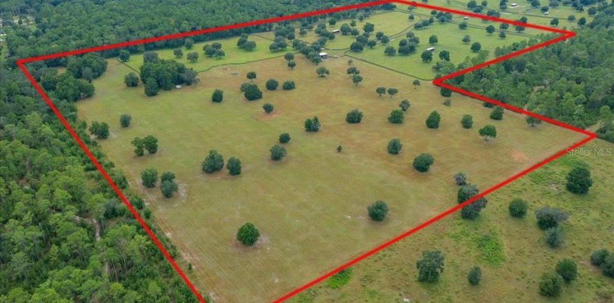 Terrain à Ocala, Floride № 2098850
