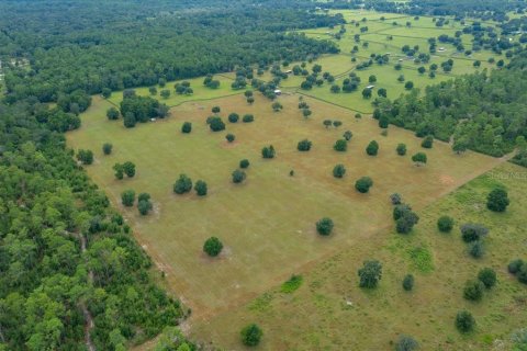 Terrain à vendre à Ocala, Floride № 2098850 - photo 10