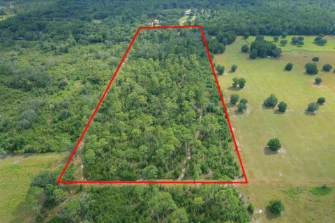 Terrain à vendre à Ocala, Floride № 2098850 - photo 20