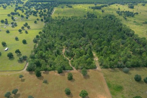Terrain à vendre à Ocala, Floride № 2098850 - photo 24