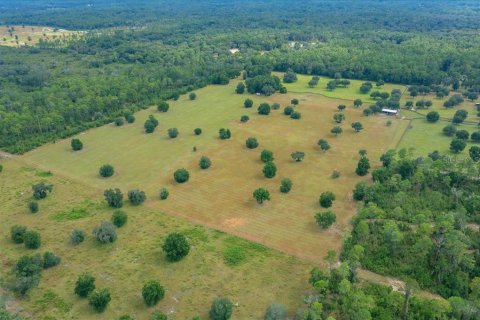 Terrain à vendre à Ocala, Floride № 2098850 - photo 16